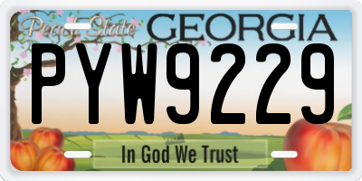 GA license plate PYW9229