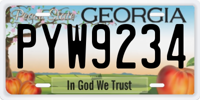 GA license plate PYW9234