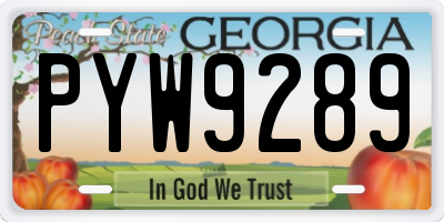 GA license plate PYW9289