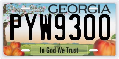 GA license plate PYW9300