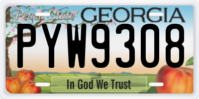 GA license plate PYW9308