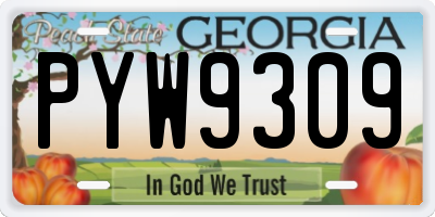 GA license plate PYW9309