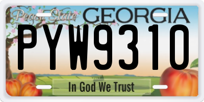 GA license plate PYW9310