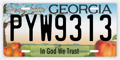 GA license plate PYW9313