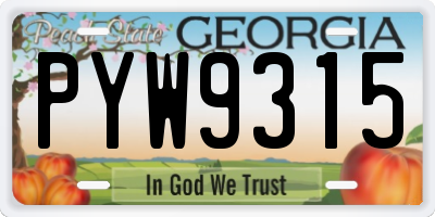 GA license plate PYW9315