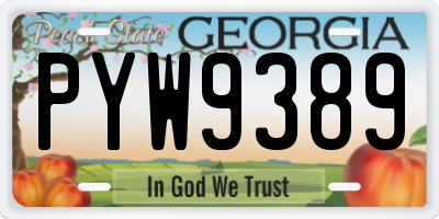 GA license plate PYW9389