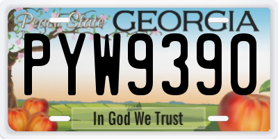 GA license plate PYW9390