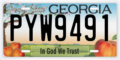 GA license plate PYW9491