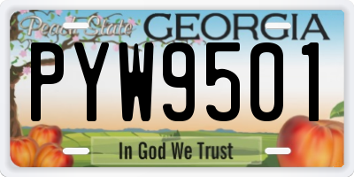 GA license plate PYW9501