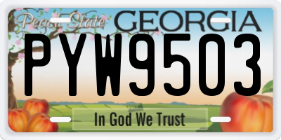 GA license plate PYW9503
