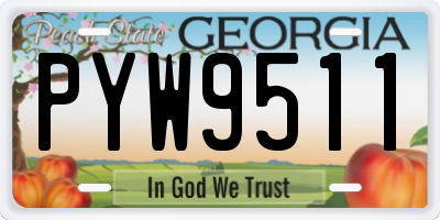 GA license plate PYW9511