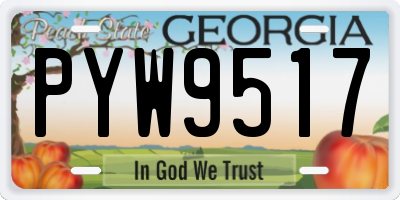 GA license plate PYW9517
