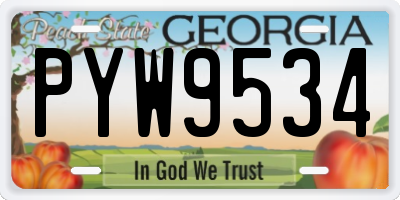 GA license plate PYW9534
