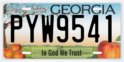GA license plate PYW9541