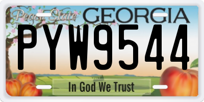 GA license plate PYW9544