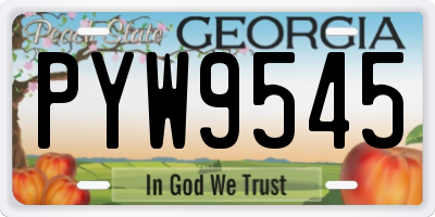 GA license plate PYW9545