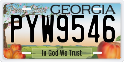 GA license plate PYW9546