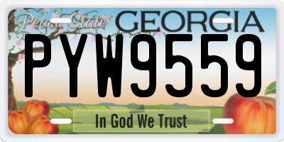 GA license plate PYW9559