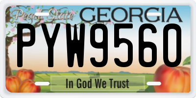 GA license plate PYW9560
