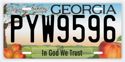 GA license plate PYW9596