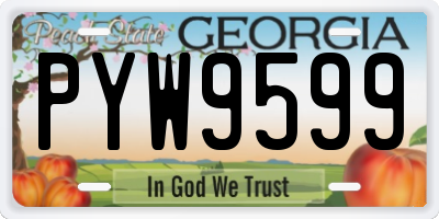 GA license plate PYW9599