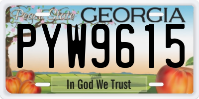 GA license plate PYW9615