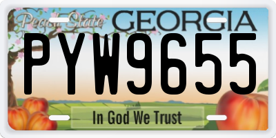 GA license plate PYW9655