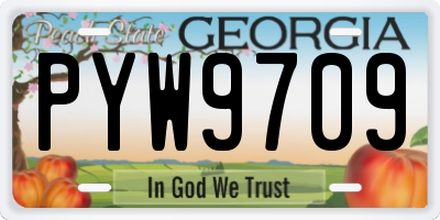 GA license plate PYW9709