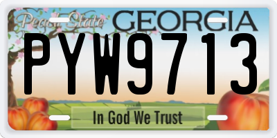 GA license plate PYW9713