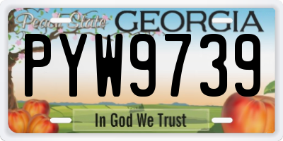 GA license plate PYW9739