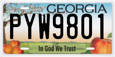 GA license plate PYW9801