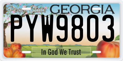 GA license plate PYW9803