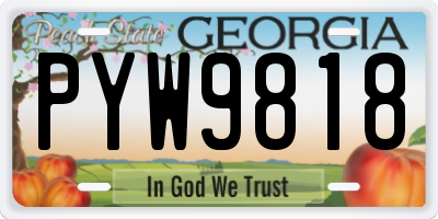 GA license plate PYW9818
