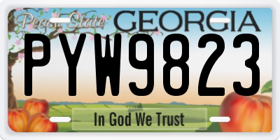 GA license plate PYW9823