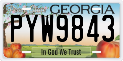 GA license plate PYW9843