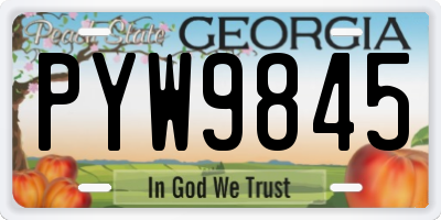 GA license plate PYW9845