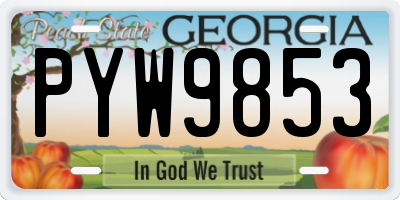 GA license plate PYW9853
