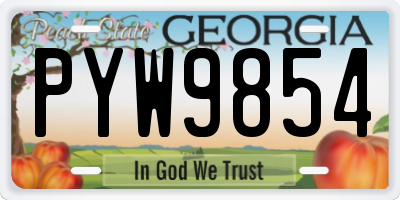 GA license plate PYW9854