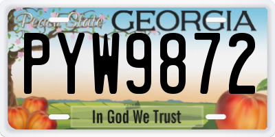 GA license plate PYW9872