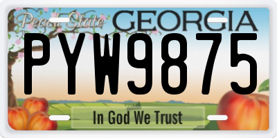 GA license plate PYW9875