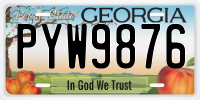 GA license plate PYW9876