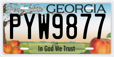 GA license plate PYW9877