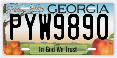 GA license plate PYW9890