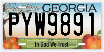 GA license plate PYW9891