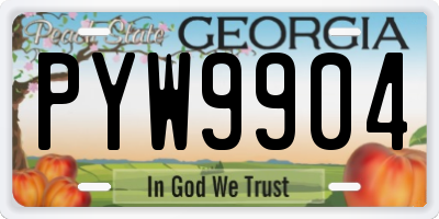 GA license plate PYW9904