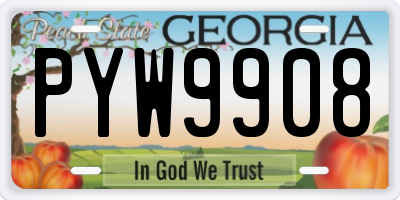 GA license plate PYW9908