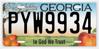 GA license plate PYW9934