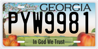 GA license plate PYW9981