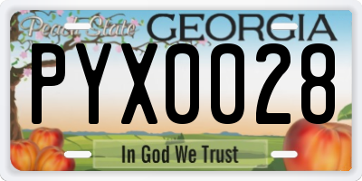GA license plate PYX0028