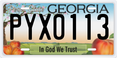 GA license plate PYX0113